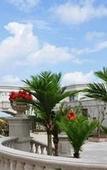 Туры в отель Country Garden Phoenix Hotel