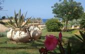 Туры в отель Albatros Portofino Vita Marsa Alam