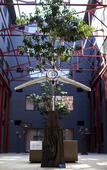 Туры в отель Quest Fremantle