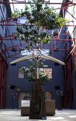 Туры в отель Quest Fremantle