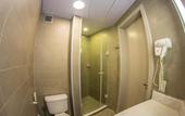 Туры в отель ibis Florianopolis