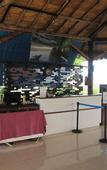 Туры в отель Ultra Winds Mountain Resort