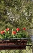 Туры в отель Hotel Giardino Inglese