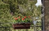 Туры в отель Hotel Giardino Inglese