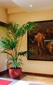 Туры в отель Hotel Giardino Inglese