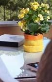 Туры в отель Hotel Giardino Inglese