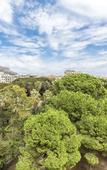 Туры в отель Hotel Giardino Inglese