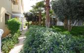 Туры в отель Amore Hotel Apartments