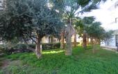 Туры в отель Amore Hotel Apartments