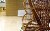 Туры в отель Hotel Plaza Alaquas