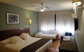 Туры в отель Hotel Plaza Alaquas