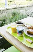Туры в отель ibis budget Fontainebleau Avon