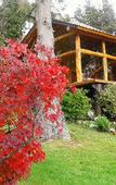 Туры в отель Hotel Alto Traful