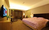 Туры в отель ZTE Hotel, Nanjing