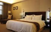 Туры в отель ZTE Hotel, Nanjing