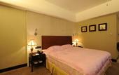 Туры в отель ZTE Hotel, Nanjing