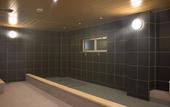 Туры в отель Capsule Plus Yokohama Sauna & Capsule
