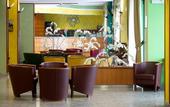 Туры в отель Rivoli Hotel
