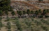 Туры в отель Masseria Agnello Relais