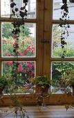 Туры в отель Time Travelers Relax - Hostel (Foreigners Only)