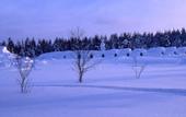 Туры в отель Kakslauttanen