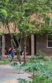 Туры в отель An's Eco Garden