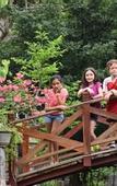 Туры в отель An's Eco Garden