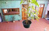 Туры в отель Hotel Parada
