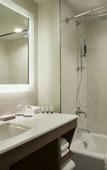 Туры в отель The Westin Milwaukee
