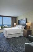 Туры в отель The Westin Milwaukee