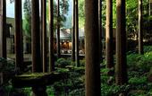 Туры в отель Kirishima Hotel