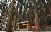 Туры в отель Kirishima Hotel