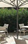 Туры в отель Hotel Le Petit Prince