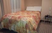 Туры в отель Hotel Matsumoto Hills