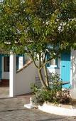 Туры в отель L'Auberge Camarguaise