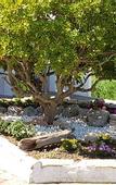 Туры в отель L'Auberge Camarguaise