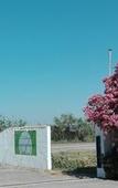 Туры в отель L'Auberge Camarguaise