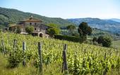 Туры в отель Agriturismo Fattoria Lavacchio