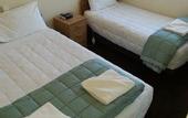 Туры в отель Ashleigh Court Motel