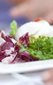 Туры в отель GrunerBaum Hotels
