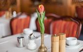 Туры в отель Hotel Strohgau