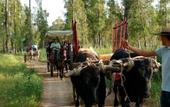 Туры в отель Hotel & Restaurant Cortijo del Arte
