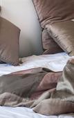 Туры в отель B&B Scrovegni