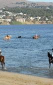 Туры в отель Best Western Port Lincoln
