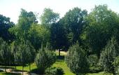 Туры в отель Hotel Am Hofgarten