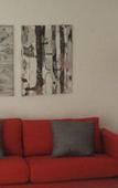 Туры в отель Apartamentos Bruja