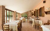 Туры в отель Terra Umbra Hotel