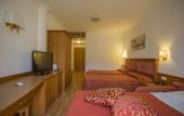 Туры в отель Sartori's Hotel