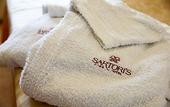 Туры в отель Sartori's Hotel