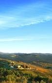 Туры в отель Dievole Wine Resort